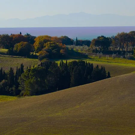 Podere Novo Bibbona