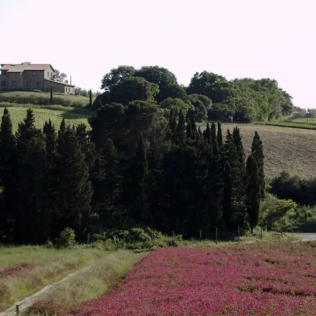 Podere Novo Bibbona